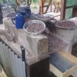 Chocolate and Coffee Tour - The Sum Up: A Rich, Tasty Journey into Costa Rican Heritage