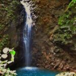 Chocolate and Coffee Tour Farm Don Jorge - Analyzing the Value