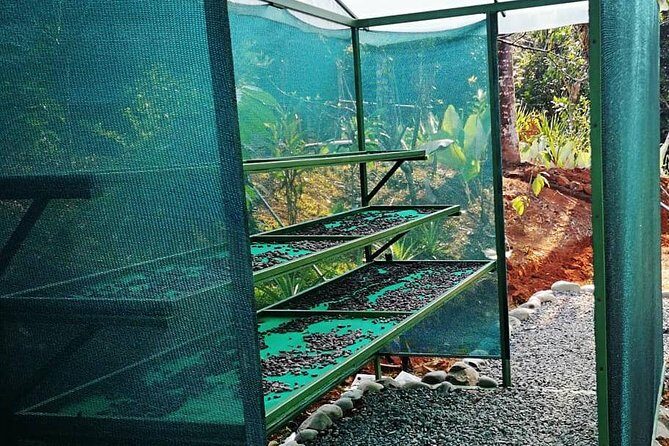 Chocolate and Coffee Tour Manuel Antonio - What Makes the Chocolate and Coffee Tour in Manuel Antonio Worthwhile?