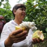 Chocolate & Coffee Farm Experience - Who Should Consider This Tour?