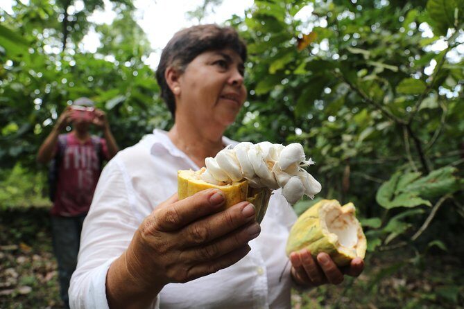 Chocolate & Coffee Farm Experience - Who Should Consider This Tour?