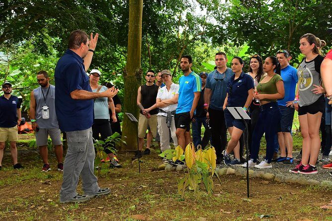 Chocolate Experience in Jaco Beach and Los Suenos - The Value and Experience: Beyond the Price