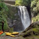 Chocolate native indigenous tour and waterfall adventure - Final Thoughts