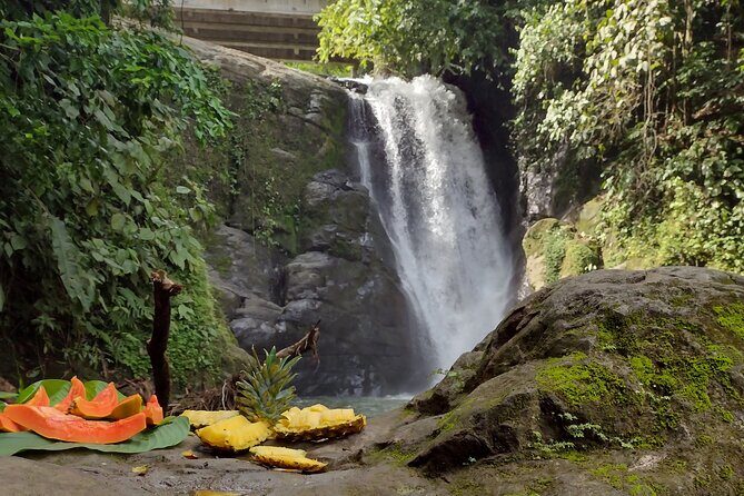 Chocolate native indigenous tour and waterfall adventure - Final Thoughts