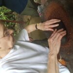 Chocolate Tour at Tirimbina Reserve. Private Tour from San Jose - Why This Tour Is a Solid Choice