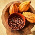 Chocolate Tour & Crocodile Safari. Puntarenas shore excursion - Exploring the Rainforest from Different Perspectives