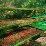 Chocolate Tour Manuel Antonio - Why This Tour Works for Travelers