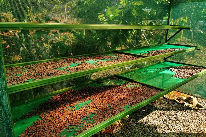 Chocolate Tour Manuel Antonio - Why This Tour Works for Travelers