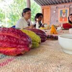 Chocolate Tour With Exfoliation in Beautiful River from Medellín! - Analyzing the Value and Practicalities