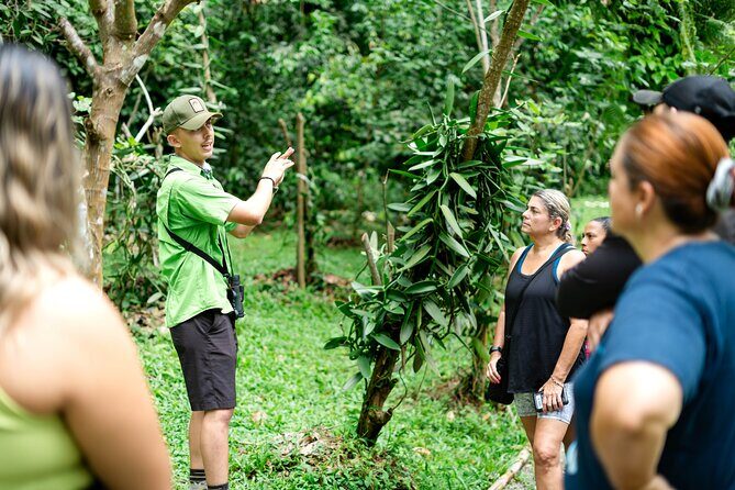 Chocolate, Vanilla & Coffee Combo Tour - Who Should Consider This Tour?