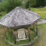 Chocolate, Waterfall, spices and Nature tours! - Why This Tour Works for You