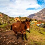 Choquequirao 4 days - Frequently Asked Questions