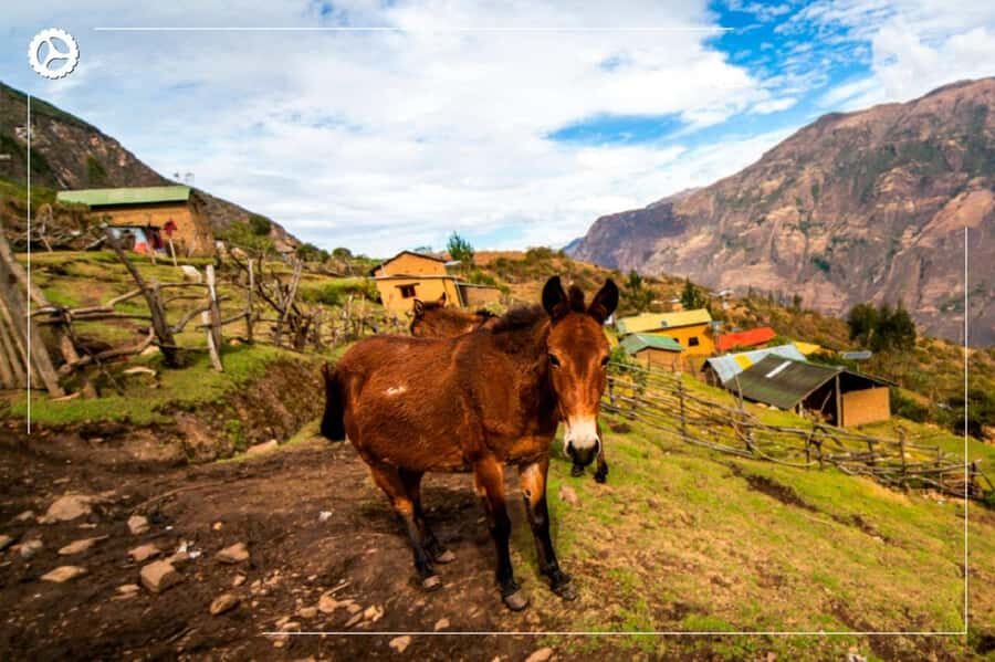 Choquequirao 4 days - Frequently Asked Questions