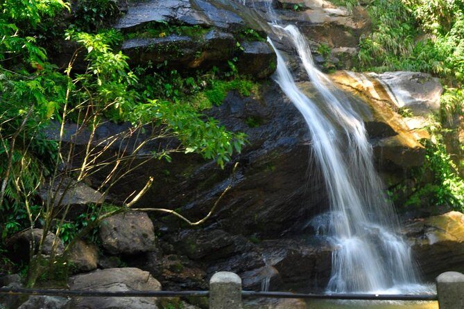 Christ and Tijuca Forest Tour - by Alan Denis - Final Thoughts