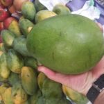 Christ, St. Teresa, Selaron & Farmers Market. 6 Hours Tour. - Who Will Love This Tour?