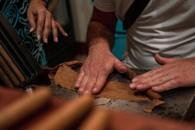 Cigar & Rum Tasting Experience (2 in 1 tour) - Who Should Consider This Tour?