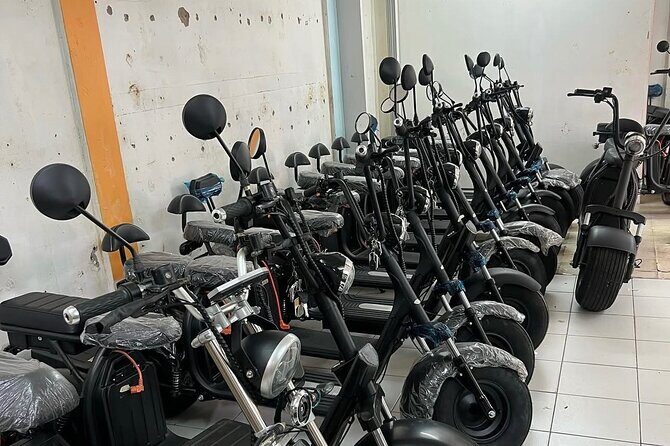 City Historical Sites Electric Bike Tour - What Makes This Tour a Standout?