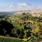 City tour & Countryside Tour Bus - FAQs