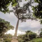 CITY TOUR "De Pucallpa Su Arte" - Final Thoughts