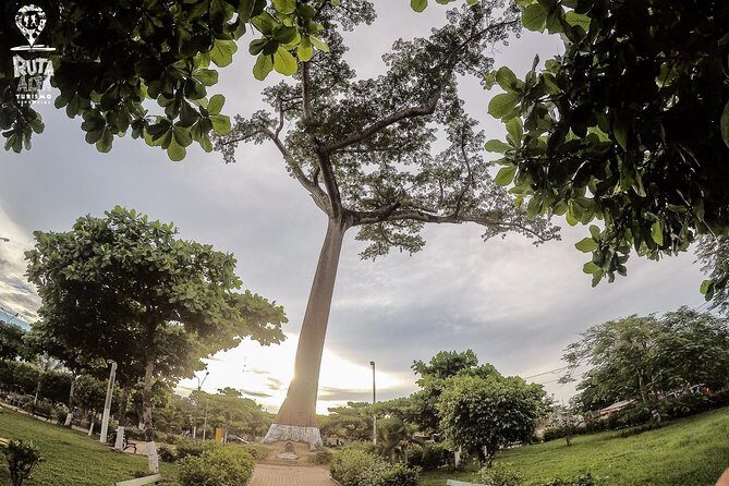 CITY TOUR "De Pucallpa Su Arte" - Final Thoughts