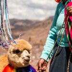 City Tour in Cusco - FAQs