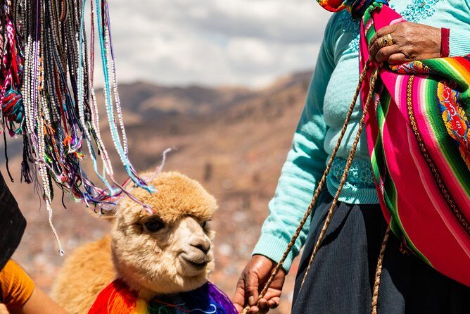 City Tour in Cusco - FAQs