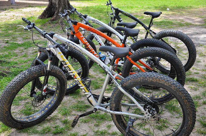 City Tour of St. Lucia - What Makes This Tour Stand Out