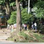 City Tour Panoramic - Who Will Love This Tour?