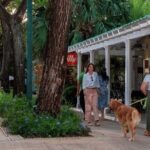 City Tour Punta Cana de Ron and Dominican Coffee and Cigars - Final Thoughts