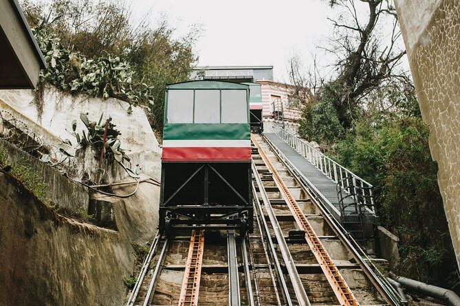 City tour Valparaíso and Viña del Mar semi-private - Who Should Consider This Tour?