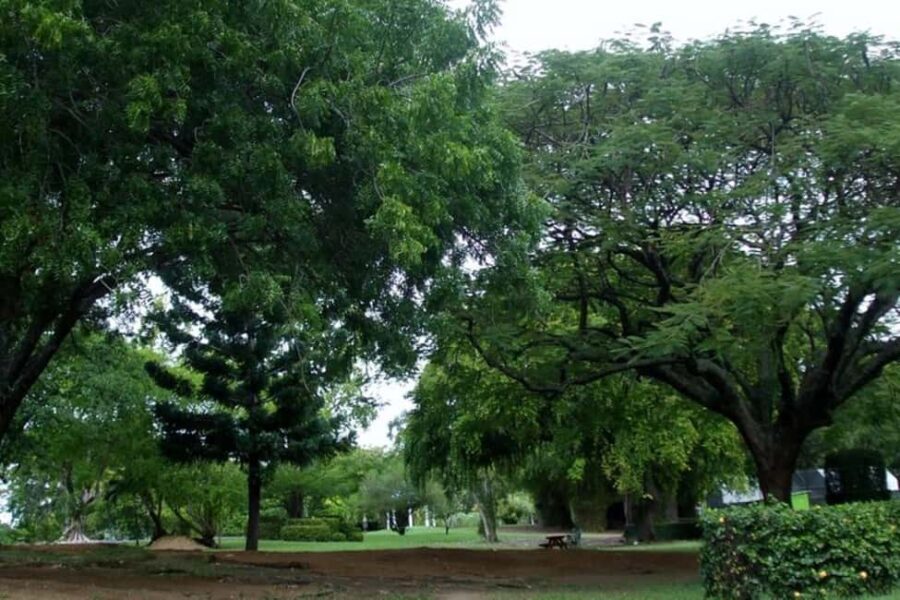 City Tour w/ Gardens, Volcano, Trafalgar Falls, Morne Bruce - The Value of This Tour