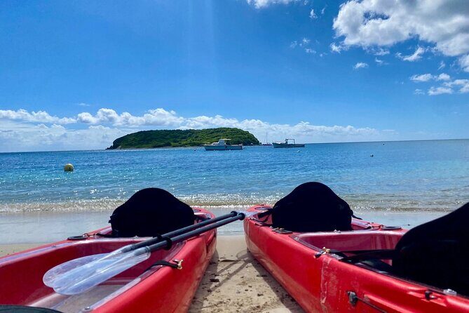 Clear Bottom Kayaking and Snorkel Reef Exploration - Who Should Consider This Tour?