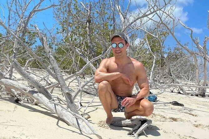 Clear Bottom Kayaks Mangrove Tour - A Closer Look at the Experience