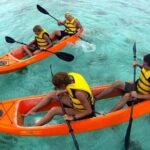 CLEAR BOTTOM KAYAKS Tour in Bioluminescent, Mosquito Bay - The Experience in Detail