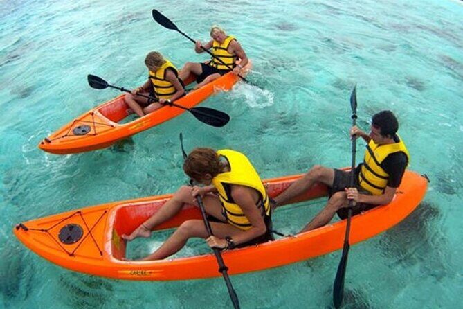 CLEAR BOTTOM KAYAKS Tour in Bioluminescent, Mosquito Bay - The Experience in Detail