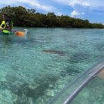 Clear Kayak Eco Tour Explore Mangroves and Meet the Turtles - Itinerary Breakdown