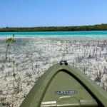 Clear kayak Grand Turk Island Kayak Tour of the mangroves - Detailed Breakdown of the Itinerary