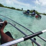 Clear Kayak Mangrove Eco Tour - Logistics and Practicalities