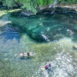 Clear Kayak Tour at Punta Uva - The Sum Up