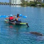Clear Kayak Tour in Condado Lagoon - Practical Tips for Your Kayaking Adventure