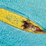 Clear Kayak with Flowers - An In-Depth Look at the Clear Kayak with Flowers Experience