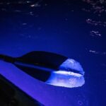 Clear LED Kayaking in Condado Lagoon - The Itinerary in Detail