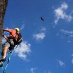 Climb Rio de Janeiro: Rock Climbing Tailored for All Levels - Who Should Consider This Tour?