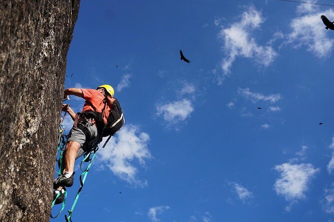 Climb Rio de Janeiro: Rock Climbing Tailored for All Levels - Who Should Consider This Tour?