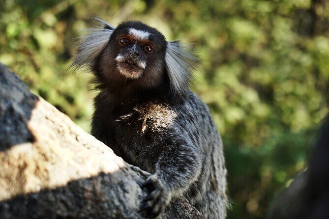 Climb Sugarloaf: A Thrilling Adventure to Rios Postcard Peak - What’s Included and What’s Not