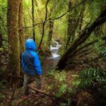 Cloud Forest Hike at Juan Castro Blanco National Park - What’s Included and What’s Not