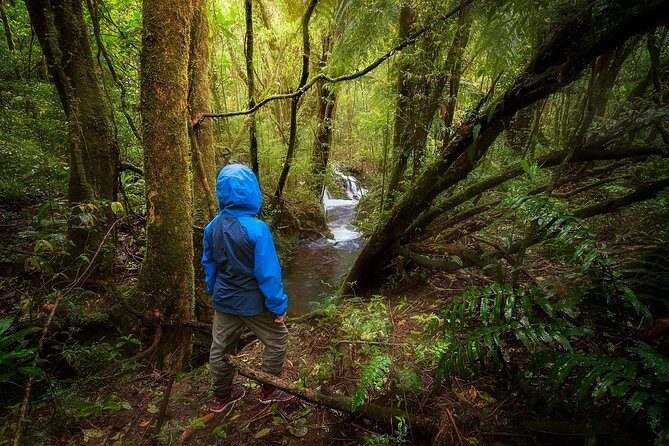 Cloud Forest Hike at Juan Castro Blanco National Park - What’s Included and What’s Not