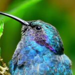 Cloud forest hike only 30 minutes from San Jose - Who Will Love This Tour