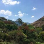 Cloud Forest hiking - Frequently Asked Questions