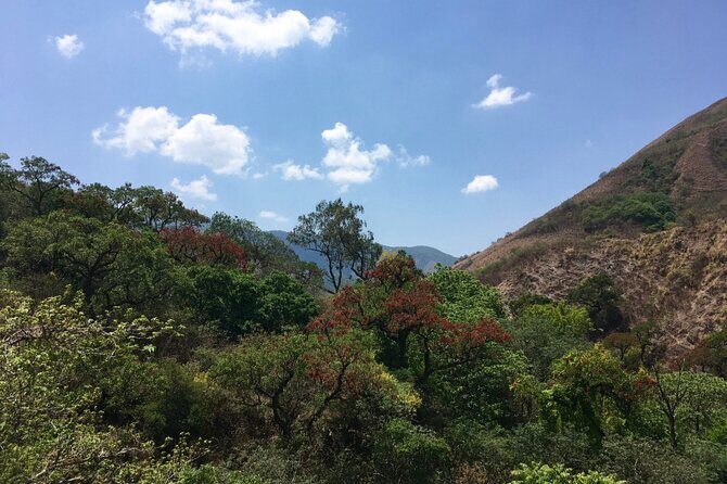 Cloud Forest hiking - Frequently Asked Questions